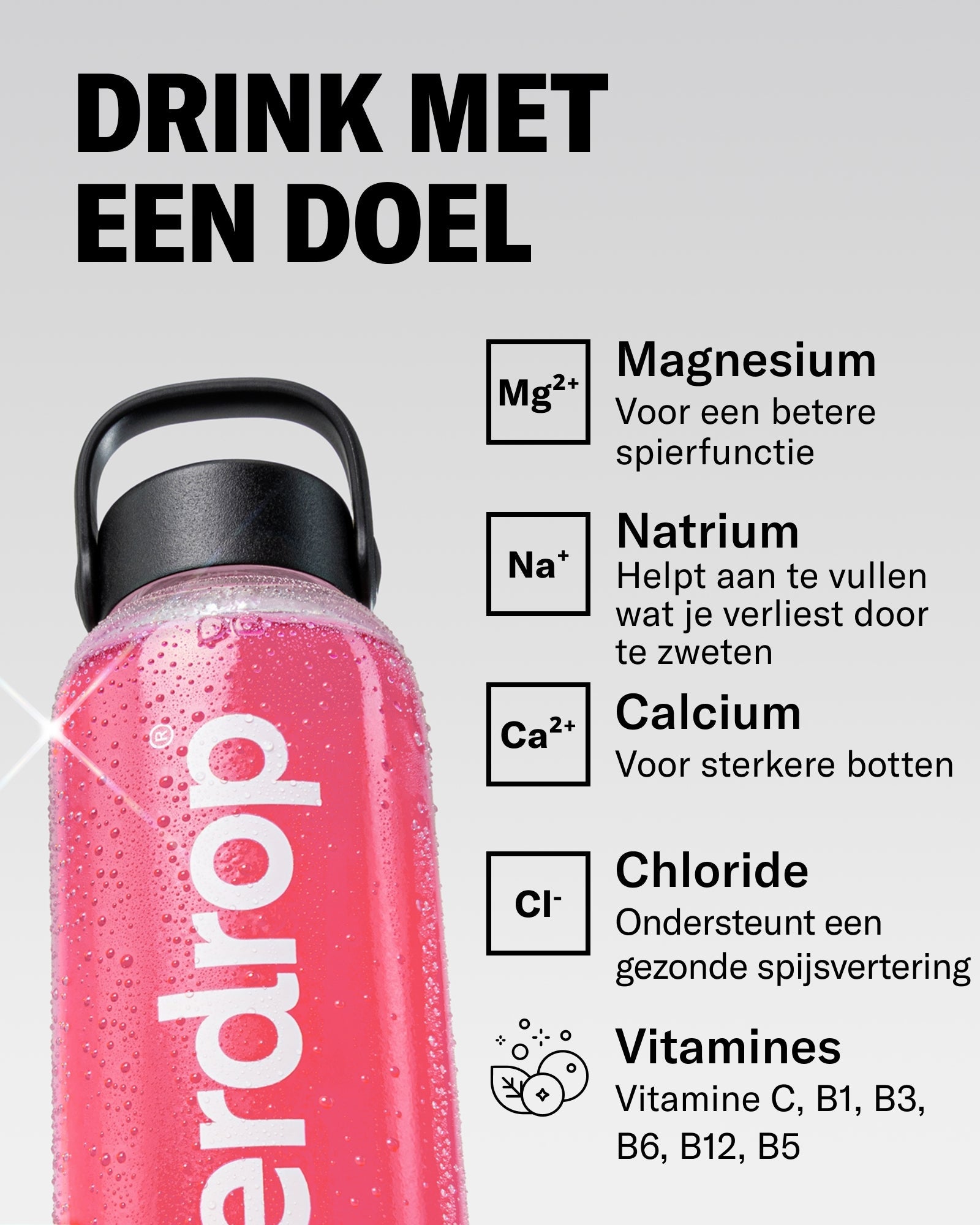 Microlyte RECHARGE Set