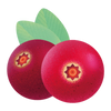 CRANBERRY ACEROLA · IMMUNITY