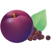 KRUIDIGE PRUIM · IMMUNITY