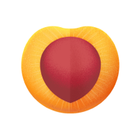 Microdrink ICE TEA PERZIK: Bestel nu | waterdrop®