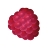 FRAMBOOS